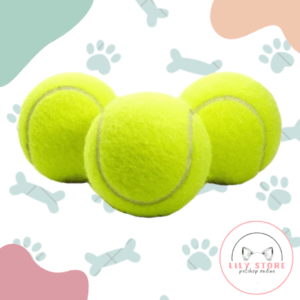 Pelota de tenis