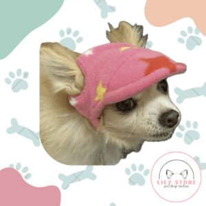 Gorrito de invierno