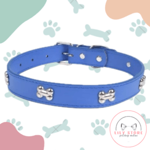 Collar de cuero