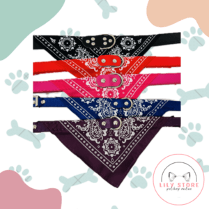 Collar pañuelo
