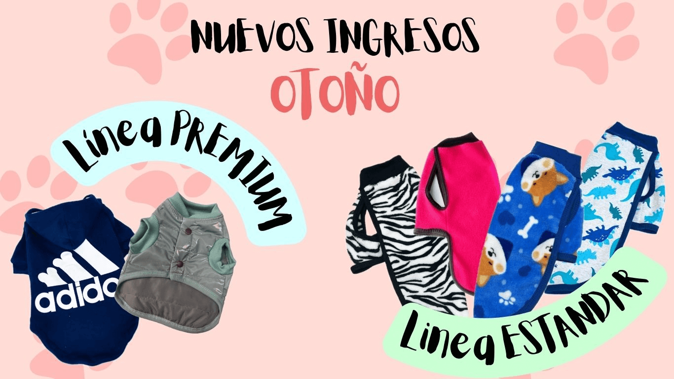 Nuevos ingresos otoño 2025