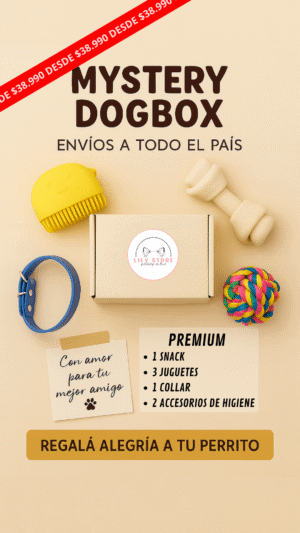 Mystery Dogbox - Premium