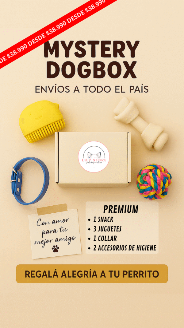 Mystery Dogbox - Premium