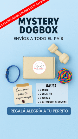 Mystery Dogbox - Basica
