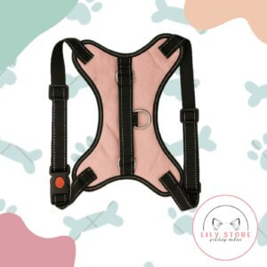 PRETAL ANTITIRONES para Perros