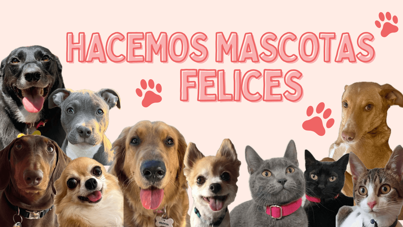 Texto del párrafo (1)