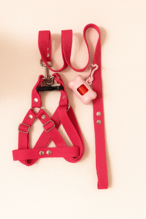 Set de paseo combinables 🐾